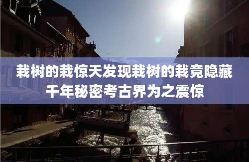 栽树的栽惊天发现栽树的栽竟隐藏千年秘密考古界为之震惊