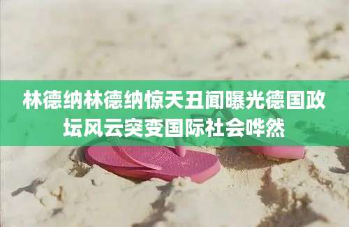 林德纳林德纳惊天丑闻曝光德国政坛风云突变国际社会哗然