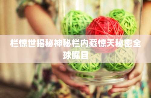 栏惊世揭秘神秘栏内藏惊天秘密全球瞩目