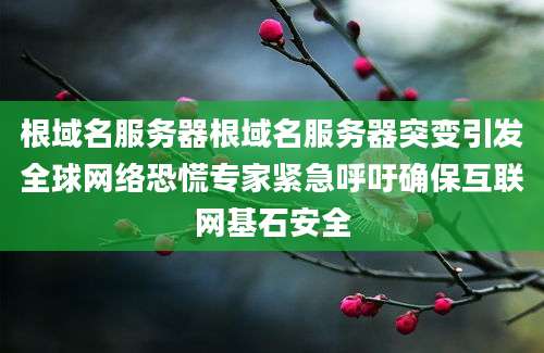 根域名服务器根域名服务器突变引发全球网络恐慌专家紧急呼吁确保互联网基石安全