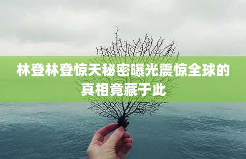 林登林登惊天秘密曝光震惊全球的真相竟藏于此