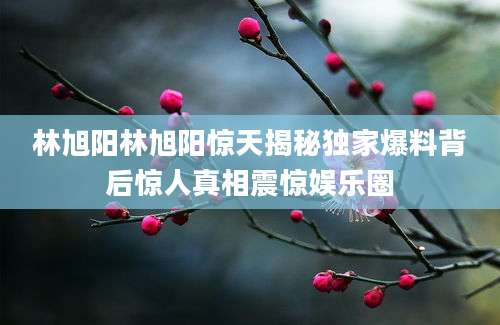 林旭阳林旭阳惊天揭秘独家爆料背后惊人真相震惊娱乐圈