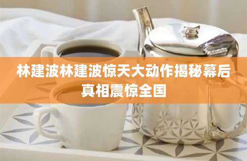 林建波林建波惊天大动作揭秘幕后真相震惊全国