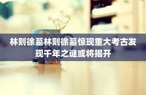 林则徐墓林则徐墓惊现重大考古发现千年之谜或将揭开