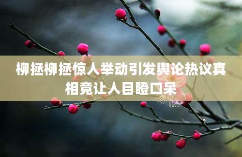 柳拯柳拯惊人举动引发舆论热议真相竟让人目瞪口呆
