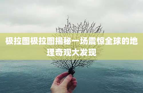 极拉图极拉图揭秘一场震惊全球的地理奇观大发现