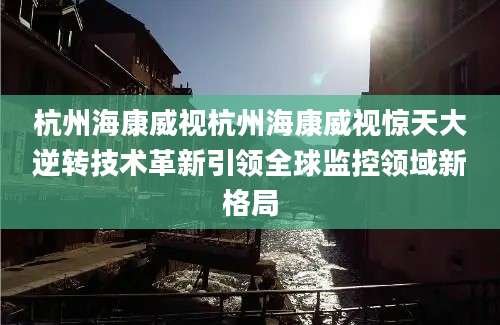 杭州海康威视杭州海康威视惊天大逆转技术革新引领全球监控领域新格局