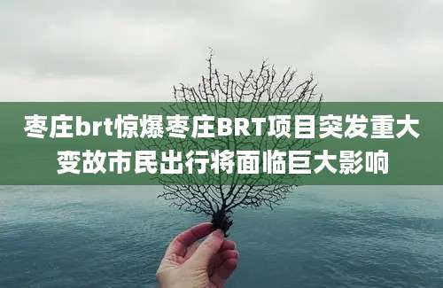 枣庄brt惊爆枣庄BRT项目突发重大变故市民出行将面临巨大影响