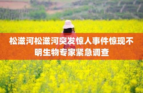 松滋河松滋河突发惊人事件惊现不明生物专家紧急调查