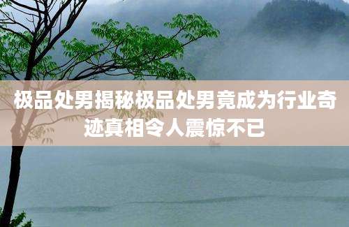 极品处男揭秘极品处男竟成为行业奇迹真相令人震惊不已