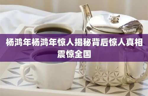 杨鸿年杨鸿年惊人揭秘背后惊人真相震惊全国
