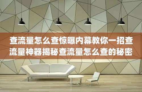 查流量怎么查惊曝内幕教你一招查流量神器揭秘查流量怎么查的秘密