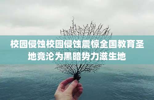 校园侵蚀校园侵蚀震惊全国教育圣地竟沦为黑暗势力滋生地