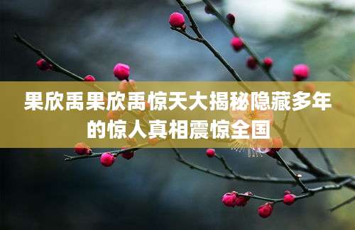 果欣禹果欣禹惊天大揭秘隐藏多年的惊人真相震惊全国