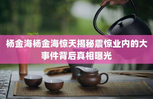 杨金海杨金海惊天揭秘震惊业内的大事件背后真相曝光