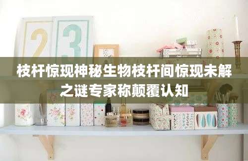 枝杆惊现神秘生物枝杆间惊现未解之谜专家称颠覆认知