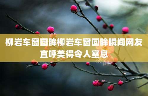 柳岩车窗回眸柳岩车窗回眸瞬间网友直呼美得令人窒息