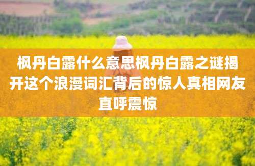 枫丹白露什么意思枫丹白露之谜揭开这个浪漫词汇背后的惊人真相网友直呼震惊