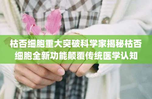 枯否细胞重大突破科学家揭秘枯否细胞全新功能颠覆传统医学认知