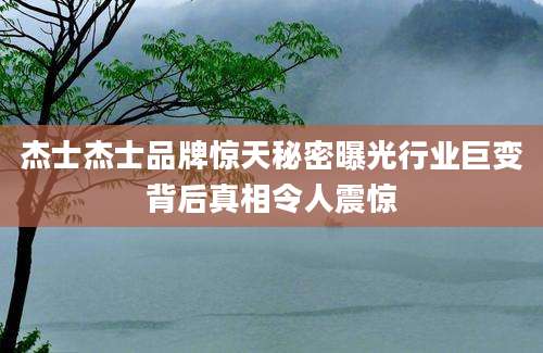 杰士杰士品牌惊天秘密曝光行业巨变背后真相令人震惊