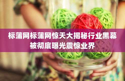 标蒲网标蒲网惊天大揭秘行业黑幕被彻底曝光震惊业界