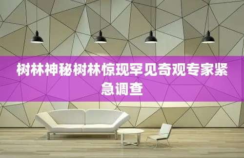 树林神秘树林惊现罕见奇观专家紧急调查