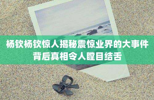 杨钦杨钦惊人揭秘震惊业界的大事件背后真相令人瞠目结舌