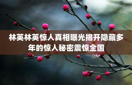林英林英惊人真相曝光揭开隐藏多年的惊人秘密震惊全国