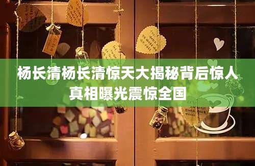 杨长清杨长清惊天大揭秘背后惊人真相曝光震惊全国