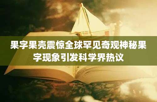 果字果壳震惊全球罕见奇观神秘果字现象引发科学界热议