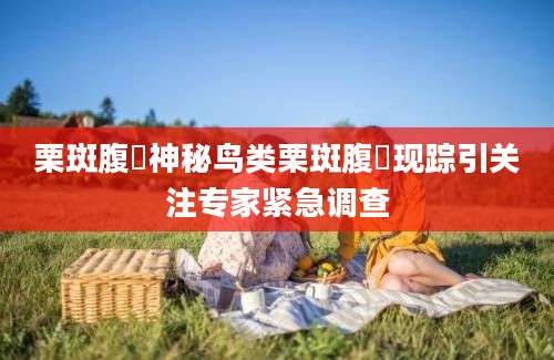 栗斑腹鹀神秘鸟类栗斑腹鹀现踪引关注专家紧急调查