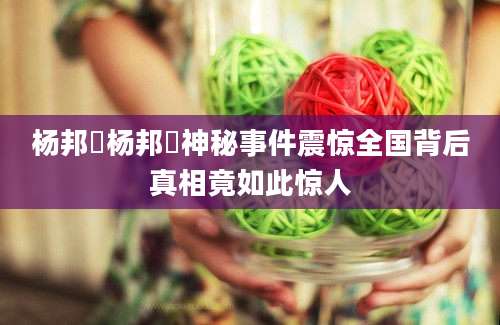 杨邦乂杨邦乂神秘事件震惊全国背后真相竟如此惊人