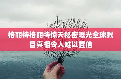 格丽特格丽特惊天秘密曝光全球瞩目真相令人难以置信