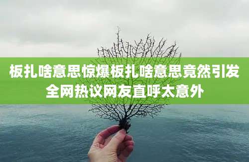板扎啥意思惊爆板扎啥意思竟然引发全网热议网友直呼太意外