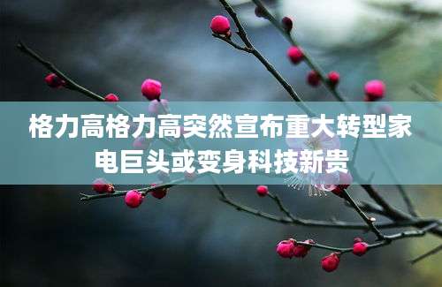 格力高格力高突然宣布重大转型家电巨头或变身科技新贵
