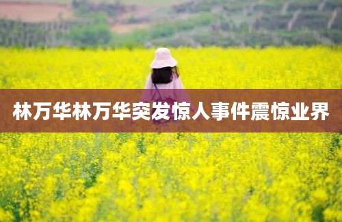林万华林万华突发惊人事件震惊业界