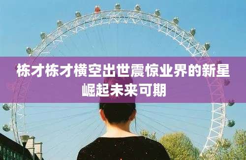 栋才栋才横空出世震惊业界的新星崛起未来可期