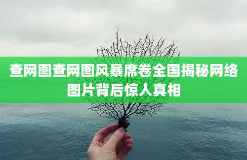 查网图查网图风暴席卷全国揭秘网络图片背后惊人真相