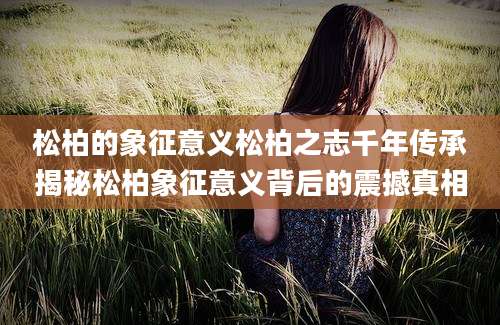松柏的象征意义松柏之志千年传承揭秘松柏象征意义背后的震撼真相