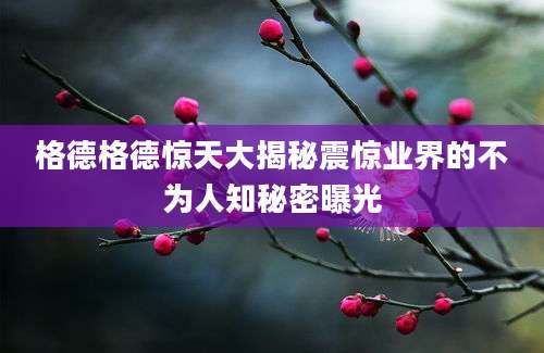 格德格德惊天大揭秘震惊业界的不为人知秘密曝光