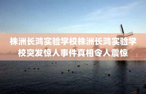 株洲长鸿实验学校株洲长鸿实验学校突发惊人事件真相令人震惊