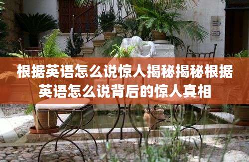 根据英语怎么说惊人揭秘揭秘根据英语怎么说背后的惊人真相