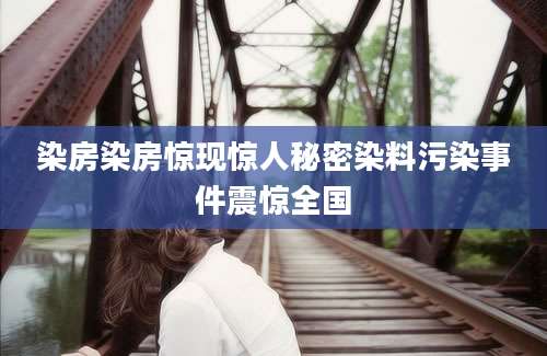 染房染房惊现惊人秘密染料污染事件震惊全国