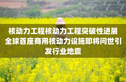 核动力工程核动力工程突破性进展全球首座商用核动力设施即将问世引发行业地震