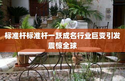 标准杆标准杆一跃成名行业巨变引发震惊全球