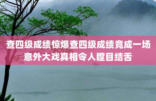 查四级成绩惊爆查四级成绩竟成一场意外大戏真相令人瞠目结舌