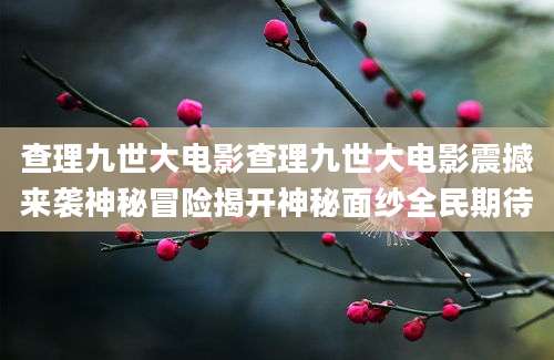 查理九世大电影查理九世大电影震撼来袭神秘冒险揭开神秘面纱全民期待