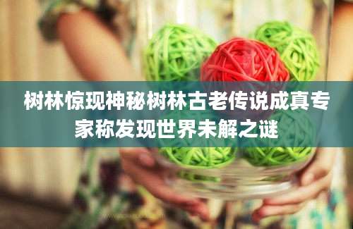 树林惊现神秘树林古老传说成真专家称发现世界未解之谜