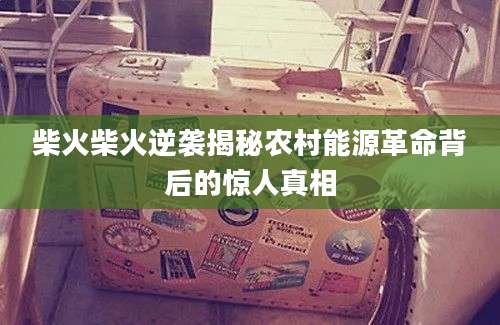 柴火柴火逆袭揭秘农村能源革命背后的惊人真相
